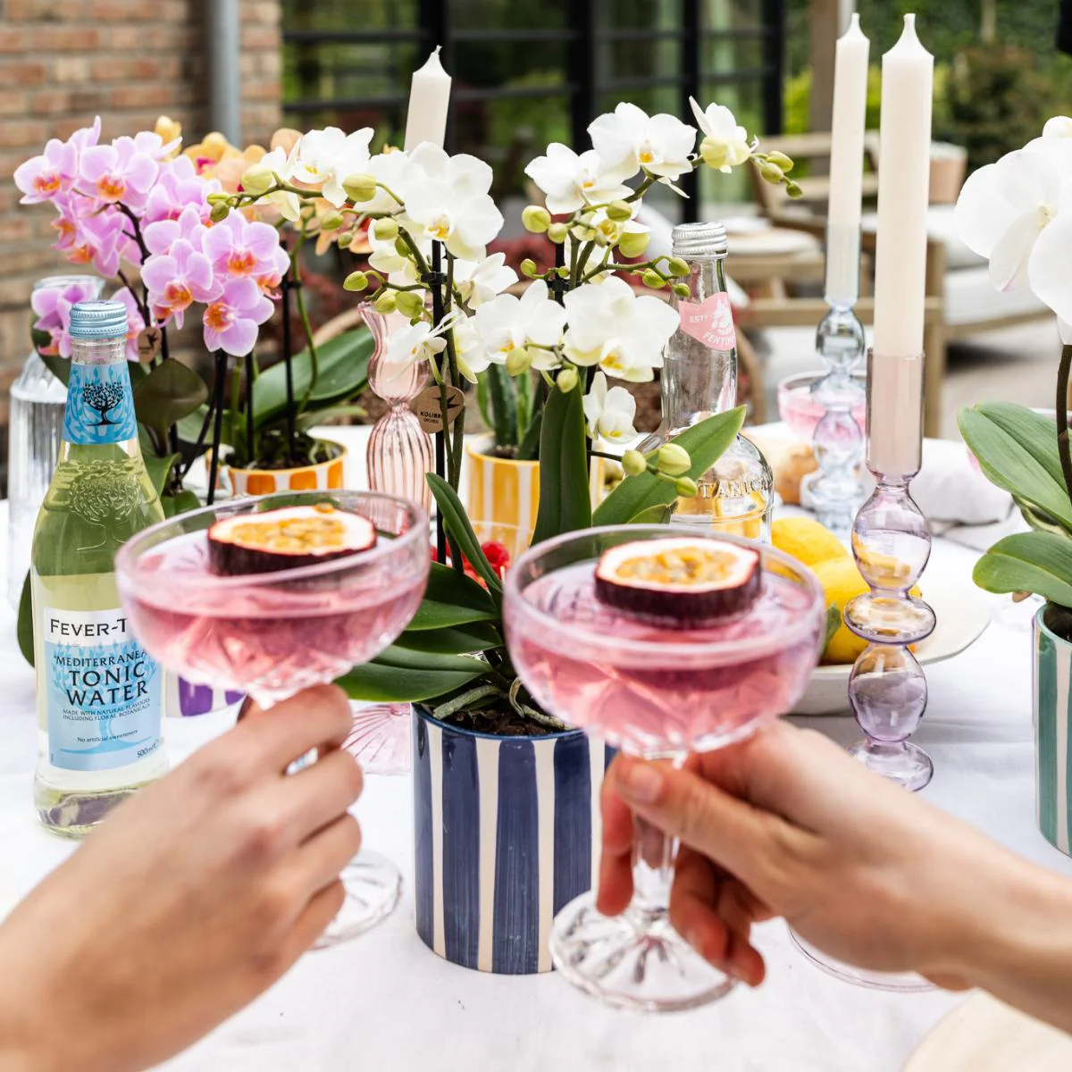 Plante D'Intérieur - Mix De Plantes Vertes Avec Pots Decoratifs - Image 4