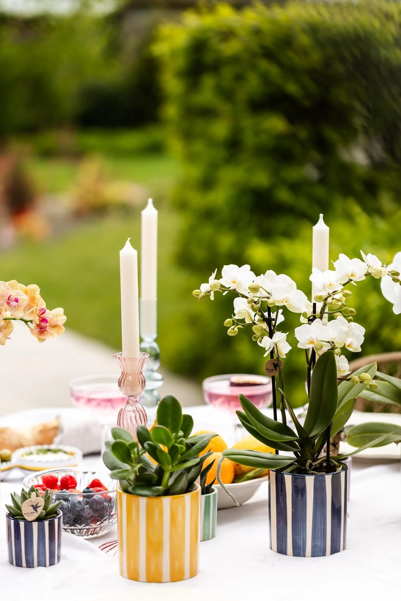 Plante D'Intérieur - Mix De Plantes Vertes Avec Pots Decoratifs - Image 5